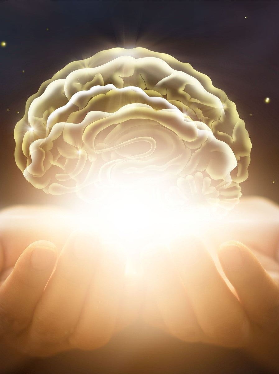 Brain Power Booster